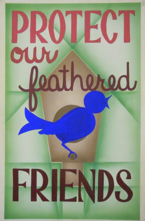 Protect our feathered Friends