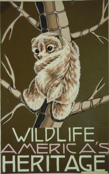 Wildlife America’s Heritage